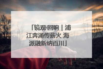 镜观·回响｜浦江奔涌传薪火 海派融新纳百川