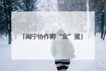 闽宁协作孵“金”蛋
