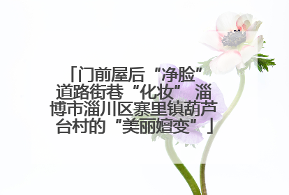 门前屋后“净脸” 道路街巷“化妆” 淄博市淄川区寨里镇葫芦台村的“美丽嬗变”