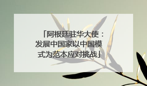 阿根廷驻华大使：发展中国家以中国模式为范本应对挑战
