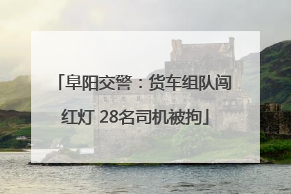 阜阳交警：货车组队闯红灯 28名司机被拘