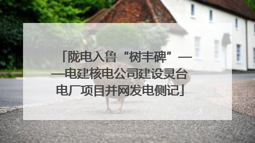 陇电入鲁“树丰碑”——电建核电公司建设灵台电厂项目并网发电侧记