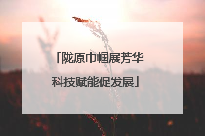 陇原巾帼展芳华 科技赋能促发展