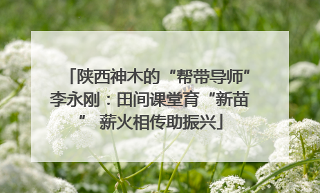 陕西神木的“帮带导师”李永刚：田间课堂育“新苗” 薪火相传助振兴