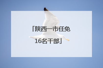 陕西一市任免16名干部