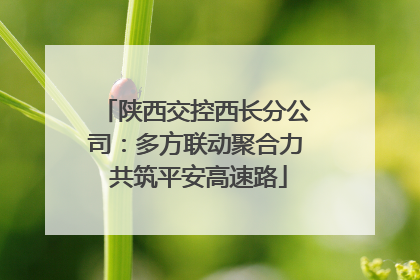 陕西交控西长分公司：多方联动聚合力 共筑平安高速路