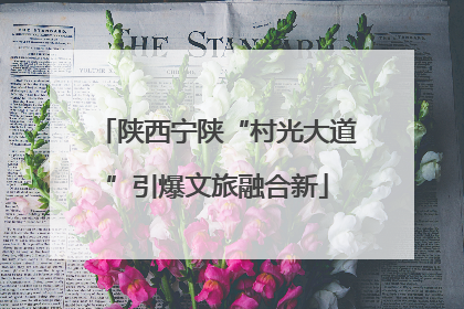 陕西宁陕“村光大道”引爆文旅融合新