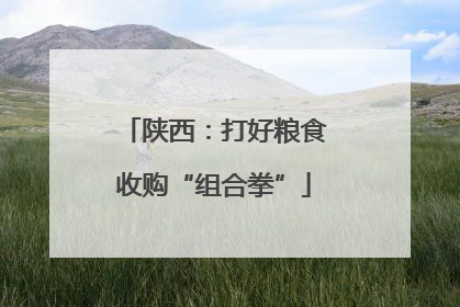 陕西：打好粮食收购“组合拳”