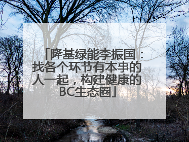 隆基绿能李振国：找各个环节有本事的人一起，构建健康的BC生态圈