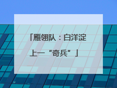 雁翎队：白洋淀上一“奇兵”