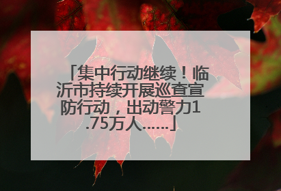 集中行动继续！临沂市持续开展巡查宣防行动，出动警力1.75万人……