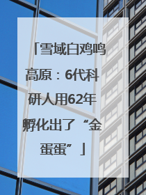 雪域白鸡鸣高原：6代科研人用62年孵化出了“金蛋蛋”