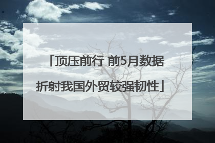顶压前行 前5月数据折射我国外贸较强韧性