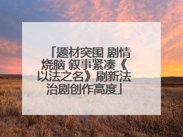题材突围 剧情烧脑 叙事紧凑《以法之名》刷新法治剧创作高度