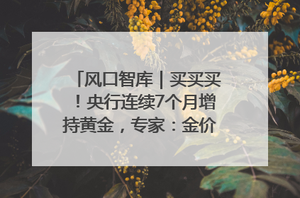 风口智库｜买买买！央行连续7个月增持黄金，专家：金价或仍易涨难跌