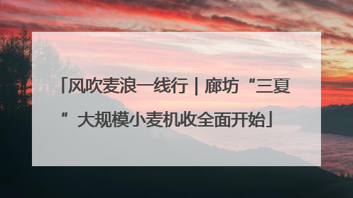 风吹麦浪一线行｜廊坊“三夏”大规模小麦机收全面开始