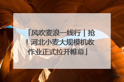 风吹麦浪一线行｜抢！河北小麦大规模机收作业正式拉开帷幕