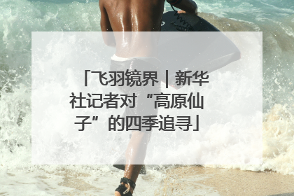 飞羽镜界｜新华社记者对“高原仙子”的四季追寻
