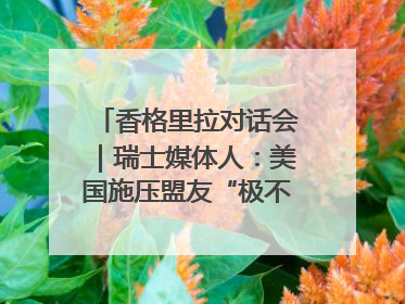 香格里拉对话会｜瑞士媒体人：美国施压盟友“极不理性” 欧洲国家无意与中国“脱钩断链”
