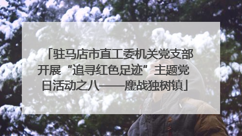 驻马店市直工委机关党支部开展“追寻红色足迹”主题党日活动之八——鏖战独树镇
