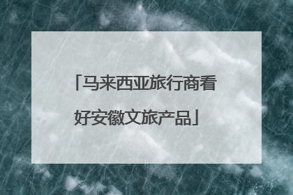 马来西亚旅行商看好安徽文旅产品