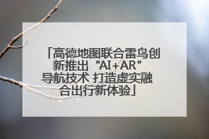 高德地图联合雷鸟创新推出“AI+AR”导航技术 打造虚实融合出行新体验