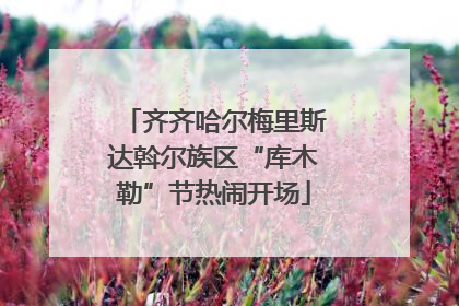 齐齐哈尔梅里斯达斡尔族区“库木勒”节热闹开场