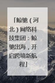 鲸驰（河北）网络科技集团：鲸驰出海，开启跨境新航程
