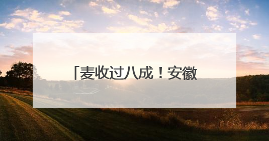 麦收过八成！安徽夏粮有望再迎丰收