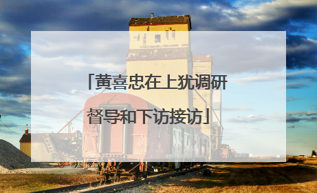 黄喜忠在上犹调研督导和下访接访