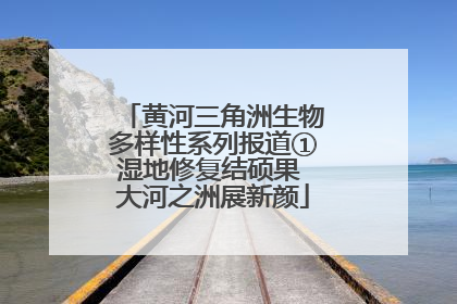 黄河三角洲生物多样性系列报道①湿地修复结硕果 大河之洲展新颜
