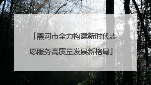 黑河市全力构建新时代志愿服务高质量发展新格局