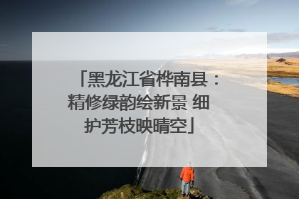 黑龙江省桦南县：精修绿韵绘新景 细护芳枝映晴空