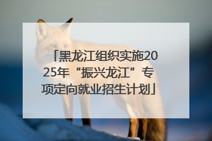 黑龙江组织实施2025年“振兴龙江”专项定向就业招生计划