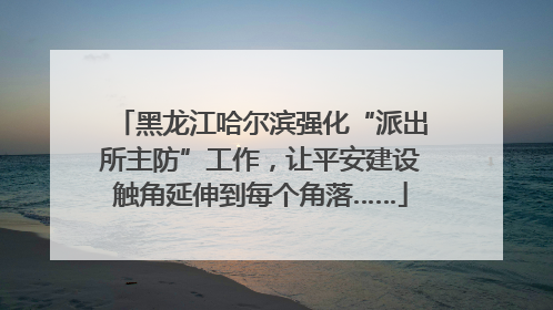 黑龙江哈尔滨强化“派出所主防”工作，让平安建设触角延伸到每个角落……