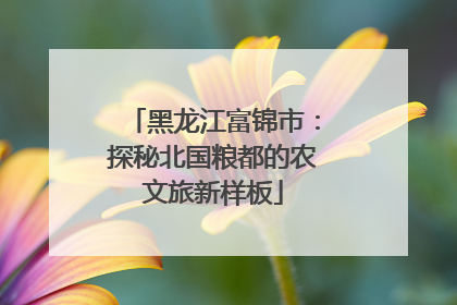黑龙江富锦市：探秘北国粮都的农文旅新样板