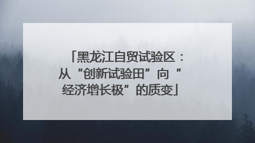黑龙江自贸试验区：从“创新试验田”向“经济增长极”的质变