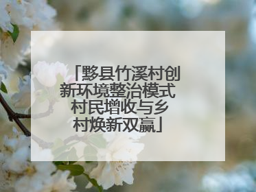 黟县竹溪村创新环境整治模式 村民增收与乡村焕新双赢