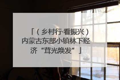 （乡村行·看振兴）内蒙古东部小镇林下经济“茸光焕发”