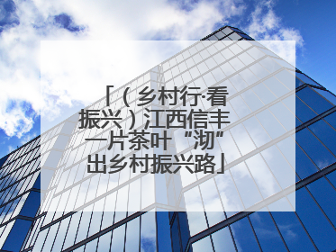 （乡村行·看振兴）江西信丰一片茶叶“沏”出乡村振兴路