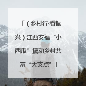 （乡村行·看振兴）江西安福“小西瓜”撬动乡村共富“大支点”