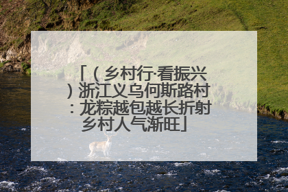 （乡村行·看振兴）浙江义乌何斯路村：龙粽越包越长折射乡村人气渐旺