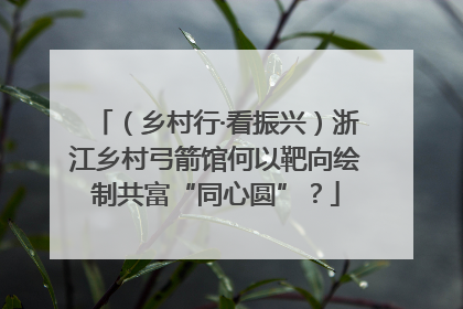 （乡村行·看振兴）浙江乡村弓箭馆何以靶向绘制共富“同心圆”？