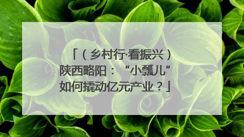 （乡村行·看振兴）陕西略阳：“小瓢儿”如何撬动亿元产业？