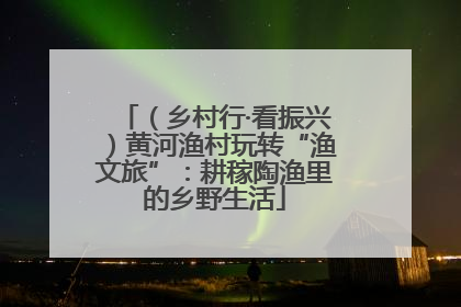 （乡村行·看振兴）黄河渔村玩转“渔文旅”：耕稼陶渔里的乡野生活