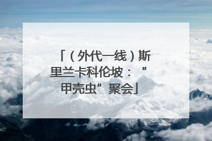 （外代一线）斯里兰卡科伦坡：“甲壳虫”聚会