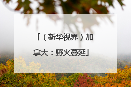 （新华视界）加拿大：野火蔓延