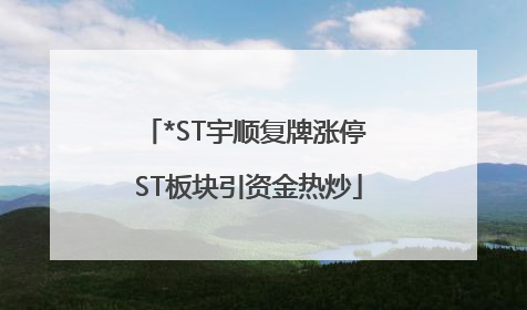 *ST宇顺复牌涨停 ST板块引资金热炒