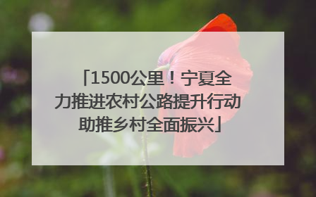 1500公里！宁夏全力推进农村公路提升行动 助推乡村全面振兴