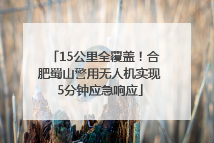 15公里全覆盖！合肥蜀山警用无人机实现5分钟应急响应